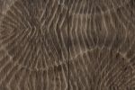 Komoda Scorpion 100cm drewno akacjowe szara - Invicta Interior 8