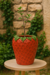Wazon donica Truskawka duża - Item International 2