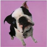Obraz Pop Art Dog galery zestaw 4 szt - Kare Design 5