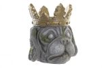Donica Crown Dog 1