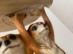 kat.II Stolik Side Table Meerkat Sisters uszkodzony 6