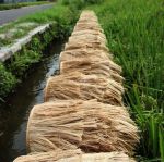 Kinkiet Abaca Applique natural S - Bazar Bizar 5