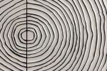 Komoda Zen Circle 3D drewno mango 177 cm biała - Invicta Interior 9