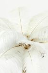 Lampa Feather pióra biała stołowa 68 cm 3