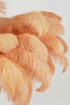 Lampa Feather pióra brzoskwiniowa sufitowa 80 cm 3
