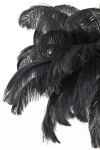 Lampa Feather pióra czarna sufitowa 80 cm 4