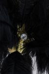 Lampa Feather pióra czarna sufitowa 80 cm 5