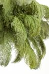 Lampa Feather pióra zielona sufitowa 80 cm 3