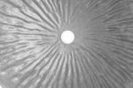 Lampa Glow biało-srebrna 70 cm  - Invicta Interior 7
