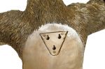 Lampa ścienna kinkiet Goryl złoty - Item International 5