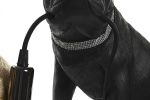 Lampa stołowa pies Bulldog - Item International 3