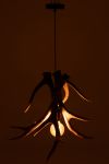 Lampa sufitowa Forest Antlers duża - J-Line 5