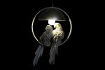 Lampa sufitowa Studio Parrot 5