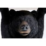 Stolik Side table Bear - Kare Design 4