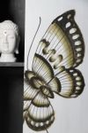 kat.II Szafa Butterfly  3