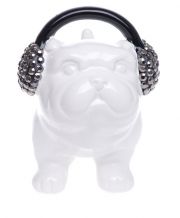 moneybox-dog-headphones-white.jpg