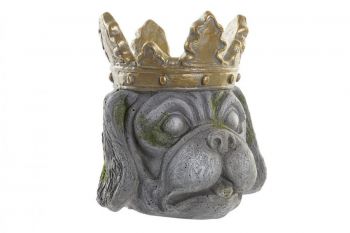 donica-crown-dog.jpg