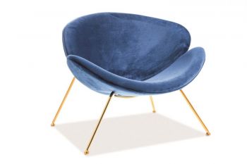 fotel-chair-unbelievable-aksamitny-niebieski-zlote-nogi.jpg