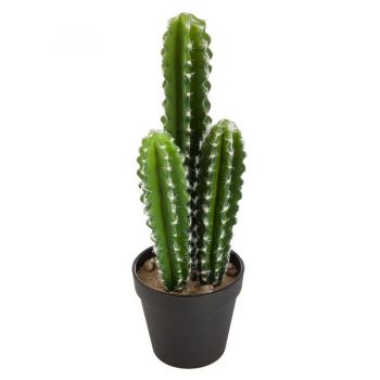 kaktus-long-dekoracyjny-42cm.jpg