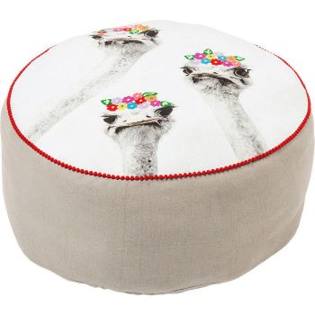 pufa-ostrich-sisters-kare-design-39934.jpg