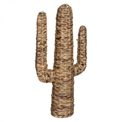 Kaktus Boho duży