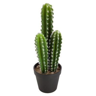 Kaktus long dekoracyjny 42cm