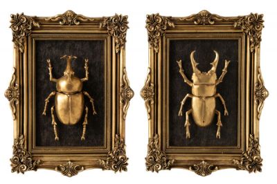 Zestaw dekoracji Cabinet of Wonders