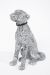 Deco Figurine Mosaic Dog   - Kare Design 1