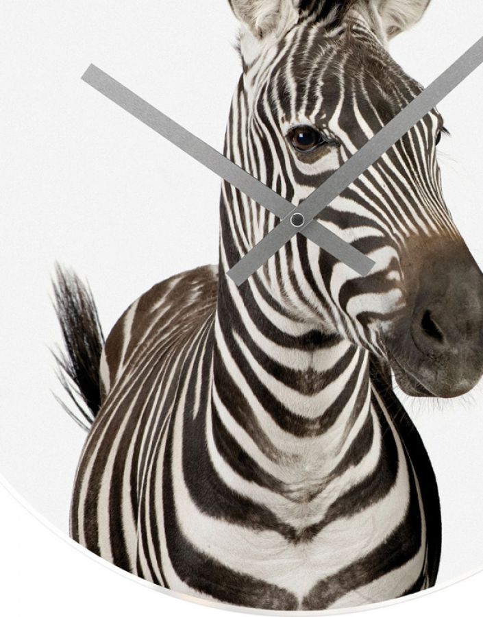 Zegar African Savannah Zebra 