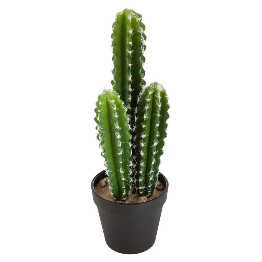Kaktus long dekoracyjny 42cm