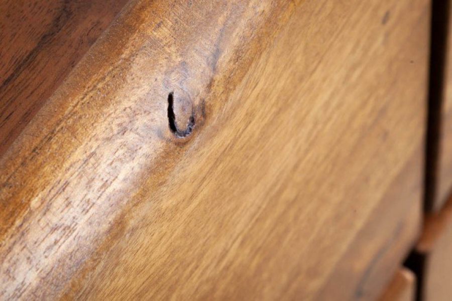 Komoda Mammut 135cm drewno akacjowe honey - Invicta Interior