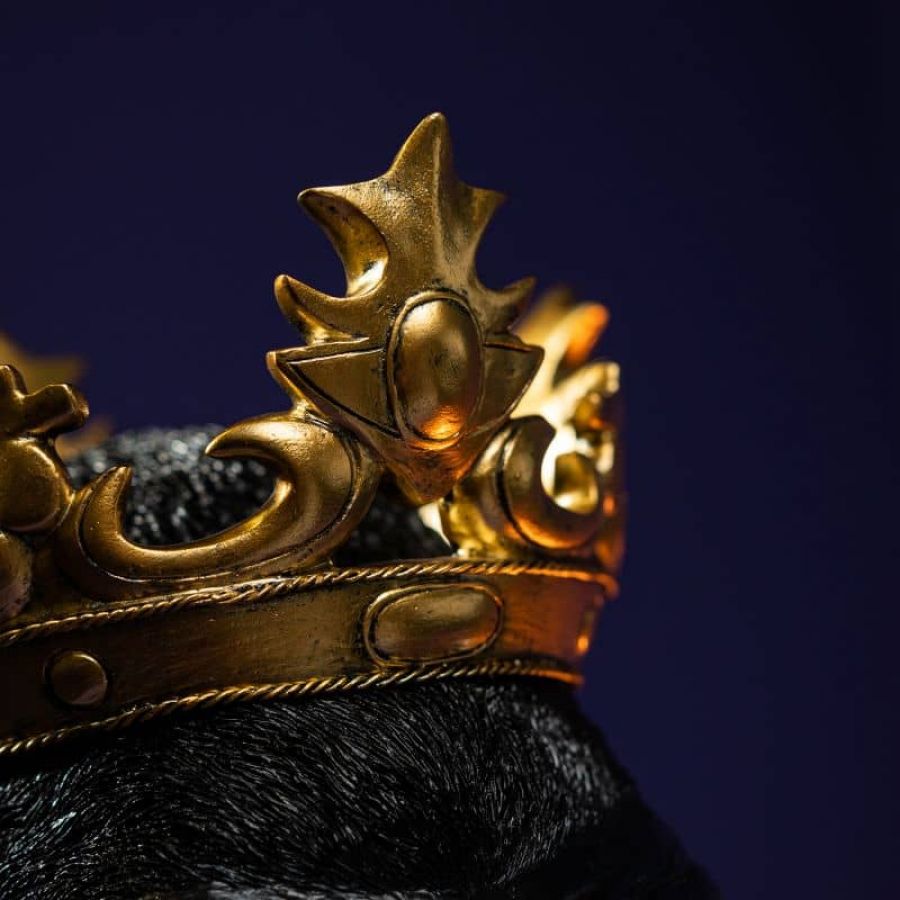 Lampa ścienna kinkiet King Kong czarna - Werner Voss