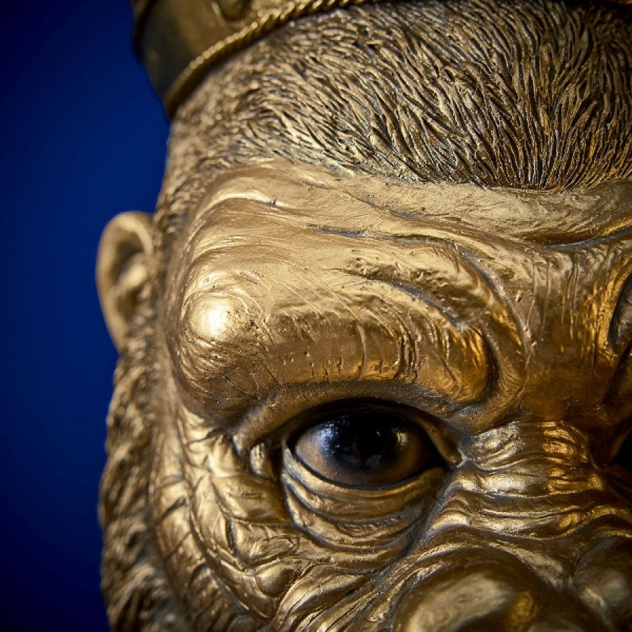 Lampa ścienna kinkiet King Kong złota - Werner Voss