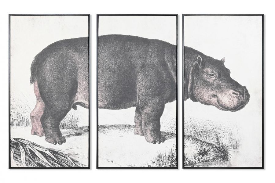 Obraz tryptyk Hipopotam