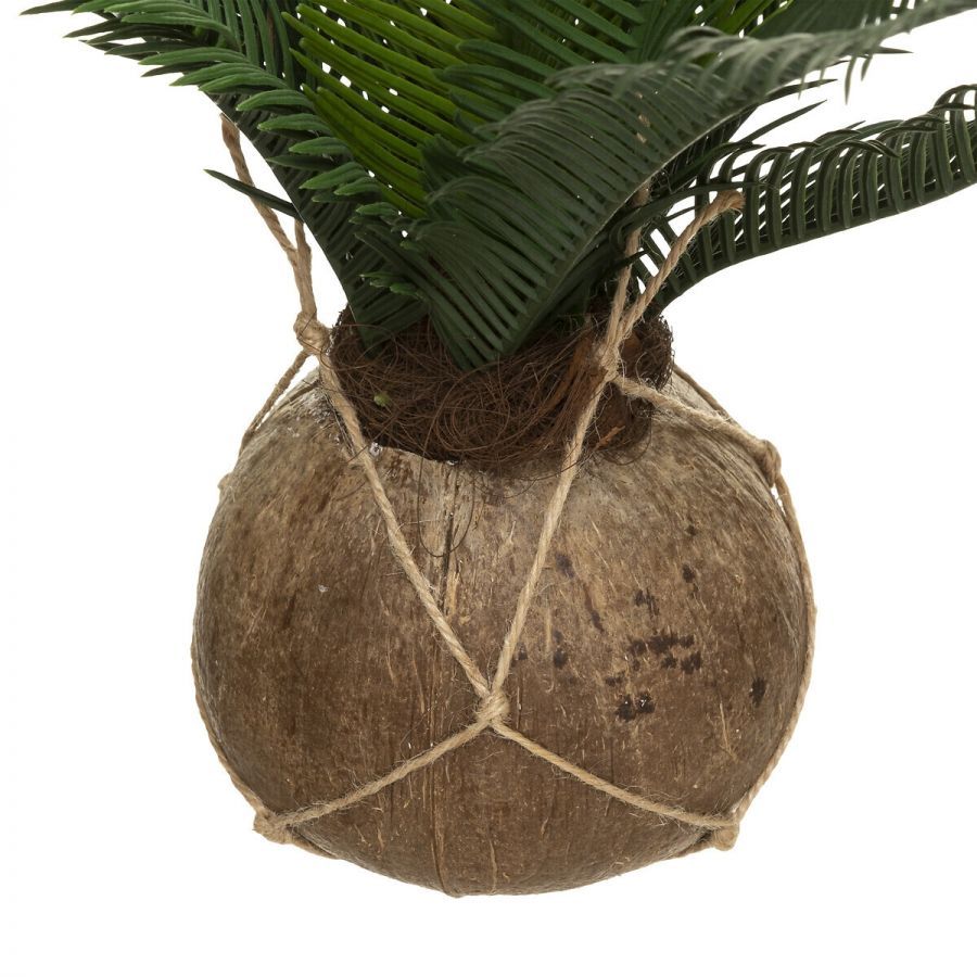 Palma wisząca 50cm