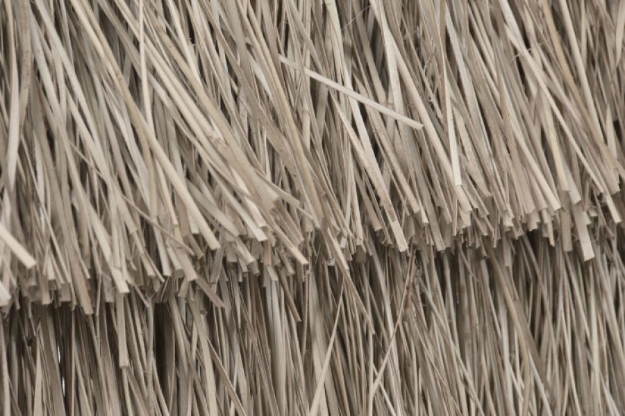 Parawan boho Palme Grande 180 cm - Item International