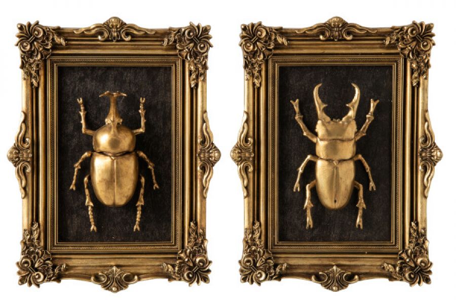 Zestaw dekoracji Cabinet of Wonders