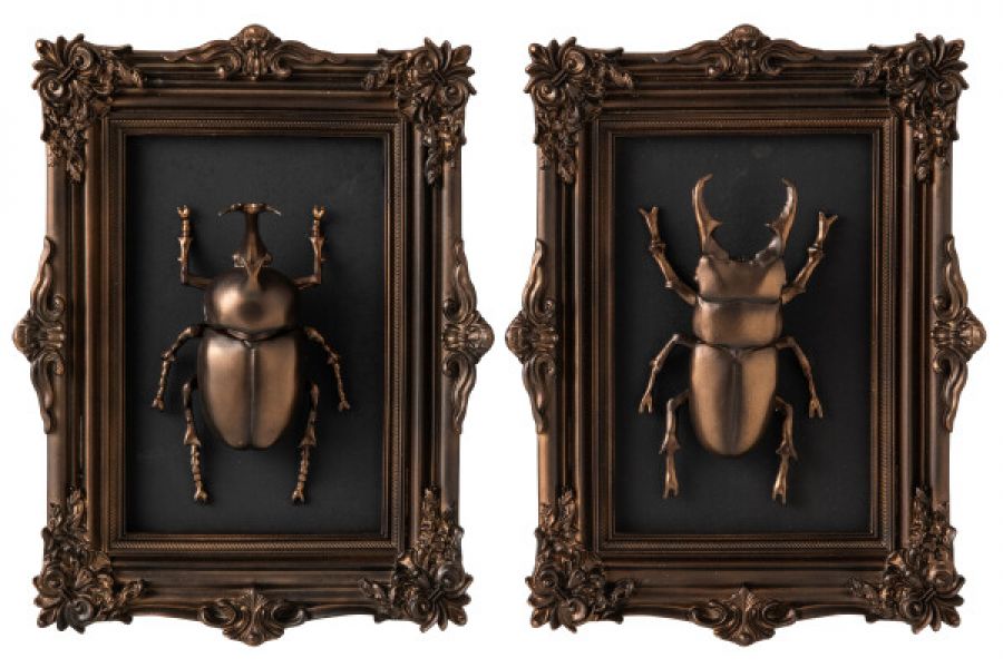 Zestaw dekoracji Cabinet of Wonders brązowy